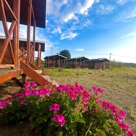 Satsumania Village Ubytování v soukromí *