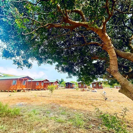 Ubytování v soukromí Satsumania Village Parlak