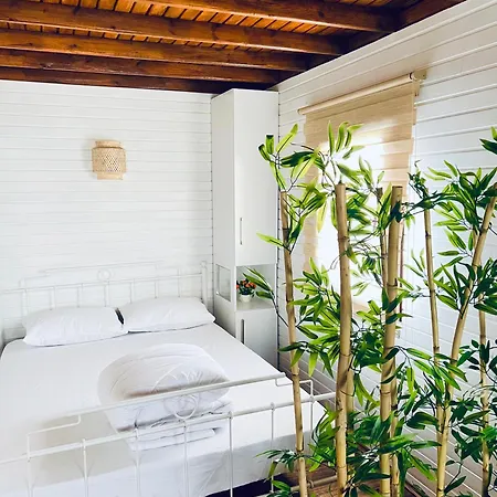 Satsumania Village * Parlak