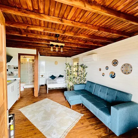 Homestay Satsumania Village