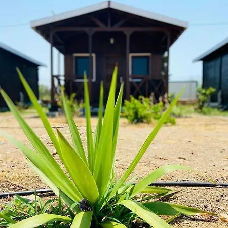 Satsumania Village Homestay