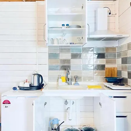 Satsumania Village Homestay Parlak