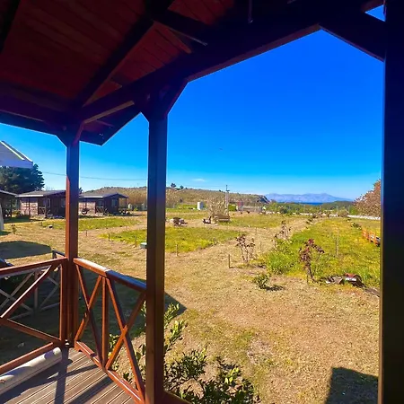 Homestay Satsumania Village Parlak