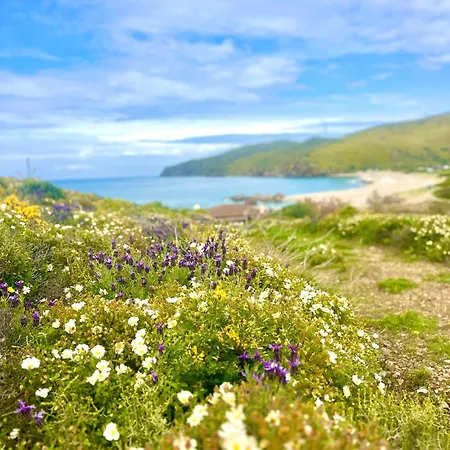 Satsumania Village *