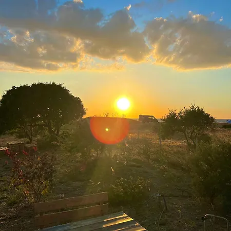 Satsumania Village Parlak