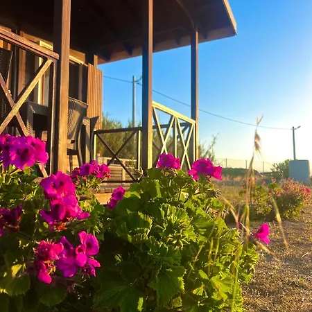 Satsumania Village * Parlak