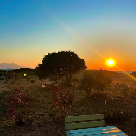 Satsumania Village Parlak