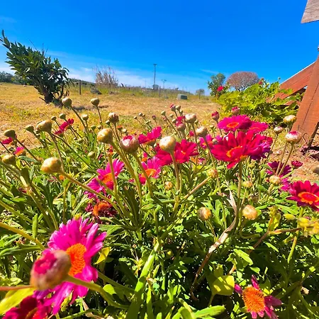 Satsumania Village Homestay Parlak