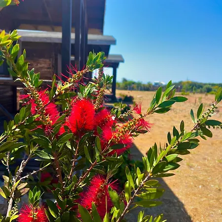 Satsumania Village Homestay