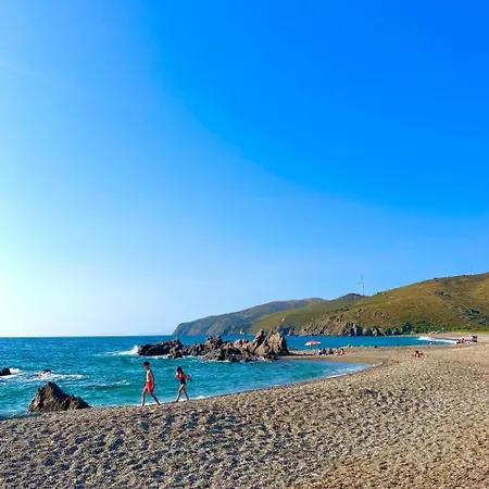 Homestay Satsumania Village